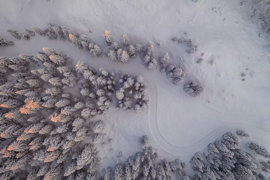 Aurora Borealis Russia