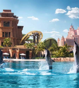 Combo-AquaVenture & Lost Chamber