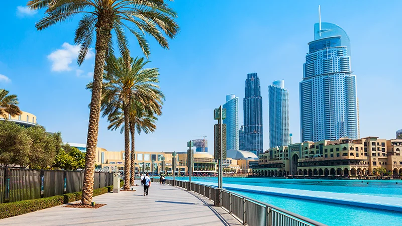 abudabi city tour in ferrari