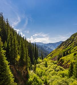 Almaty Kazakhstan