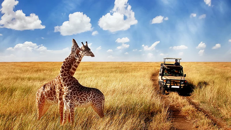 Kenya – Mombasa
