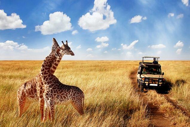 Kenya – Mombasa