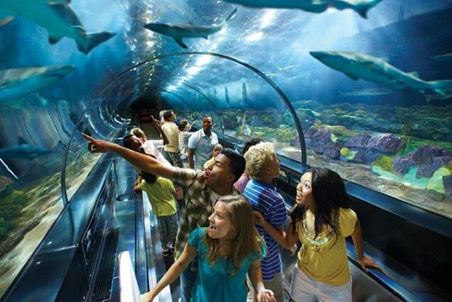 Sea World + Meal Voucher