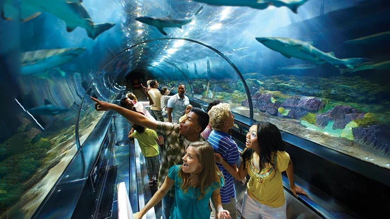 seav-world