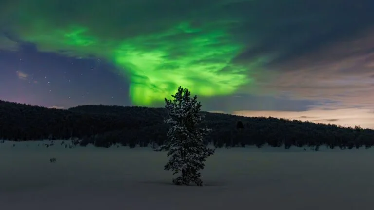 Northern Lights Tour